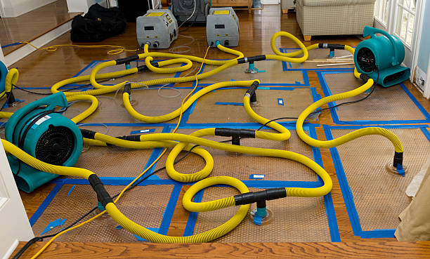 Professional Basement Flood Cleanup technician working in Lake City, SC